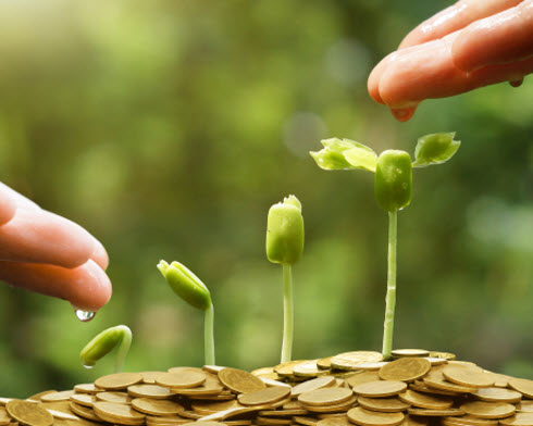 A journey to greater awareness of need for Environmental, Social and Governance (ESG) & being part of the Global Drive